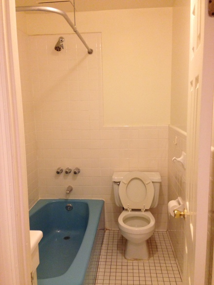 bathroom - before